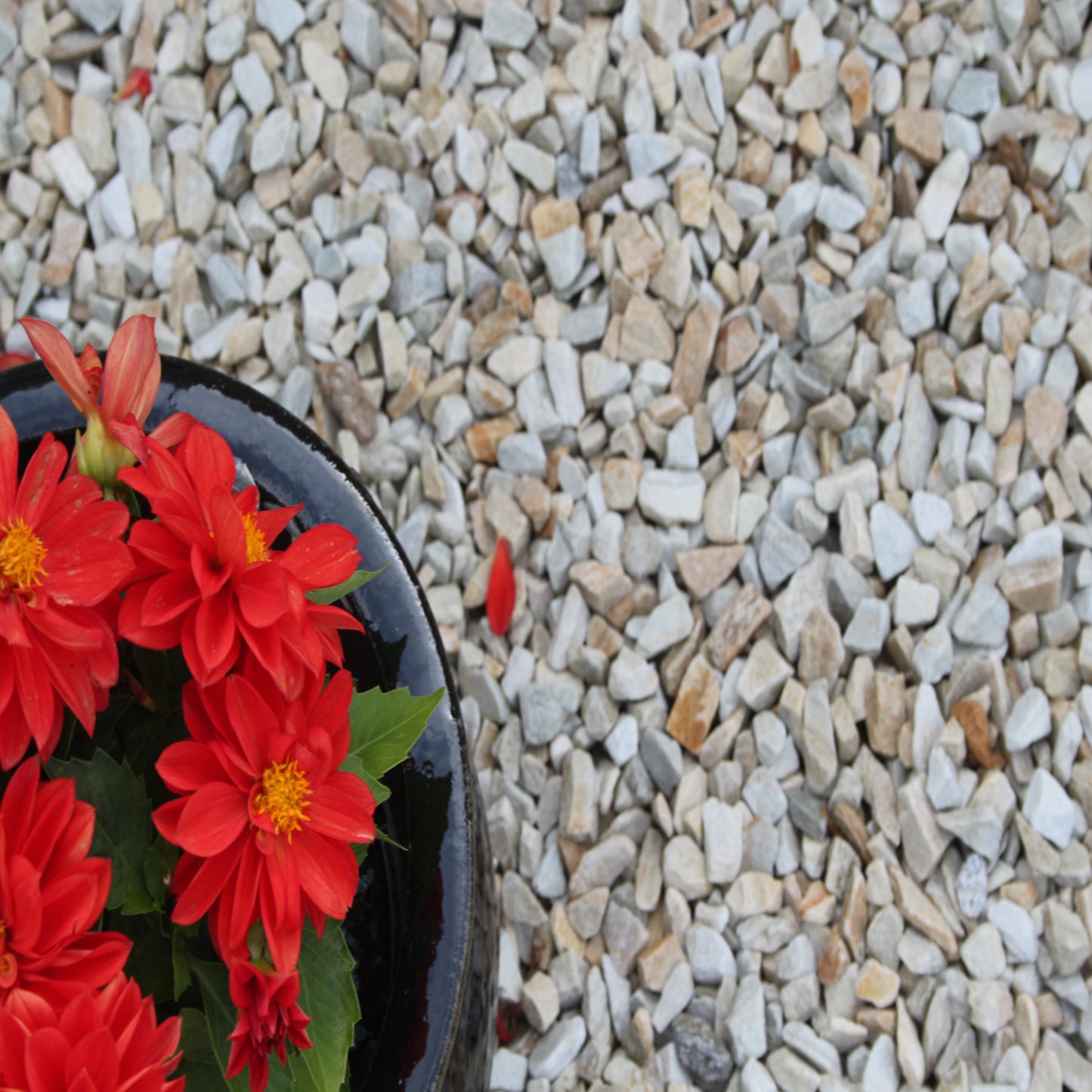 20mm Gold Donegal Quartzite Stone Chippings Tonne