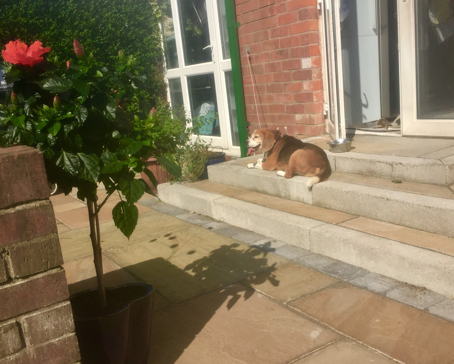 Camel Dust Sandstone Paving (Mixed Sizes)