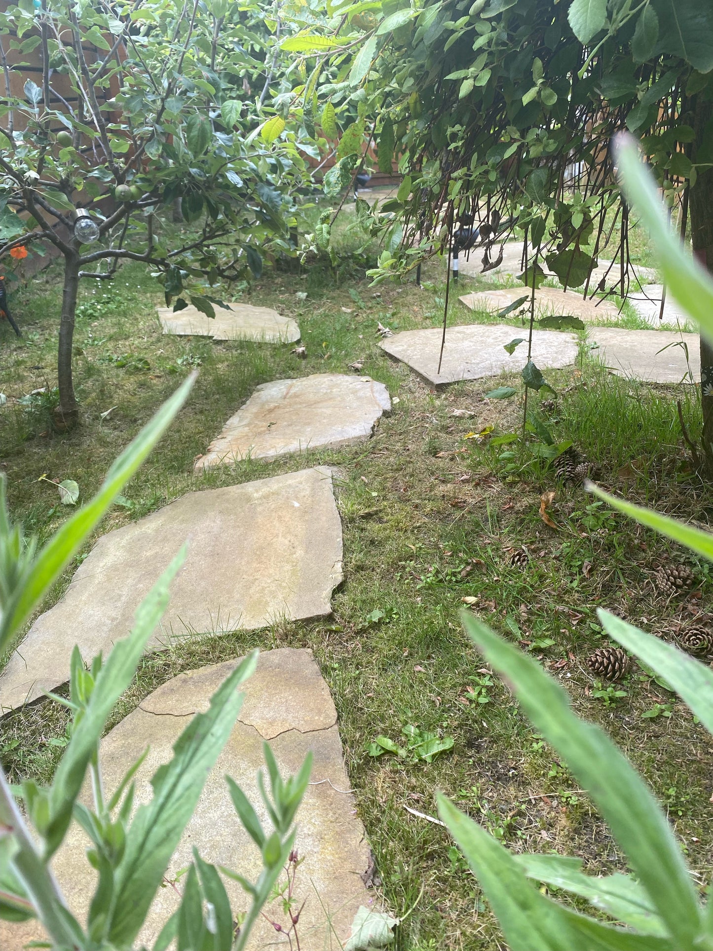 Donegal Quartzite Stepping Stone <600mm Diameter