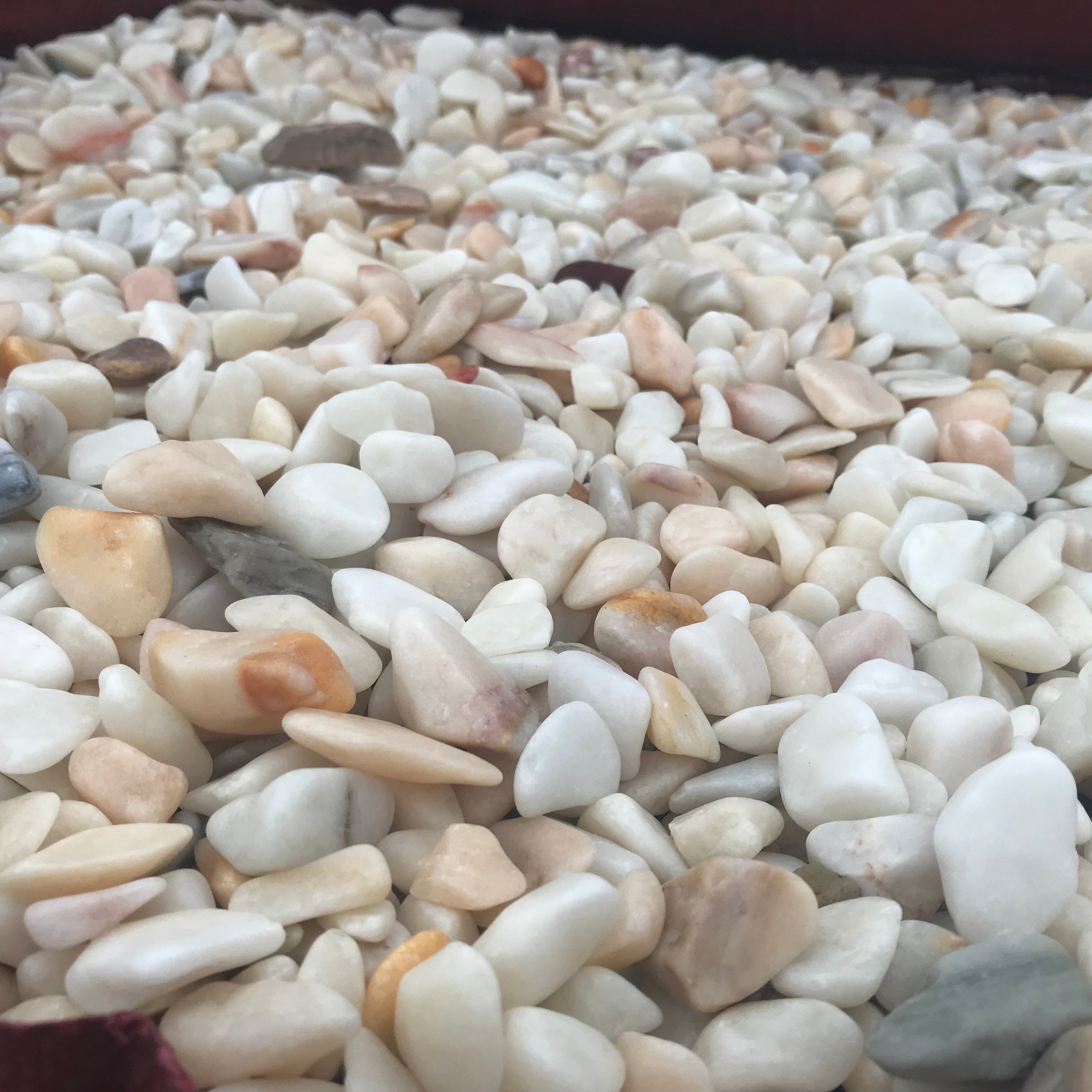 Flamingo Pebbles - Decorative Garden Pebbles | McMonagle Stone