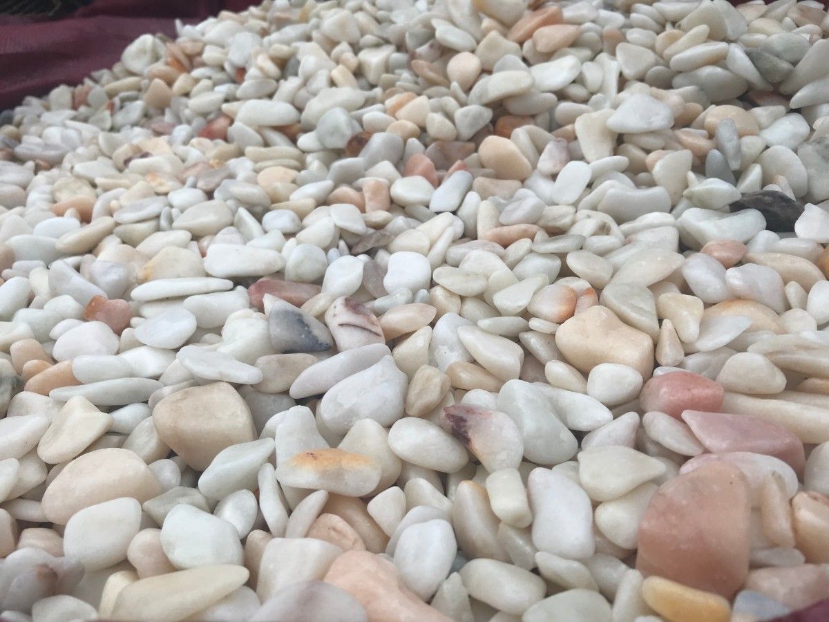 Flamingo Pebbles