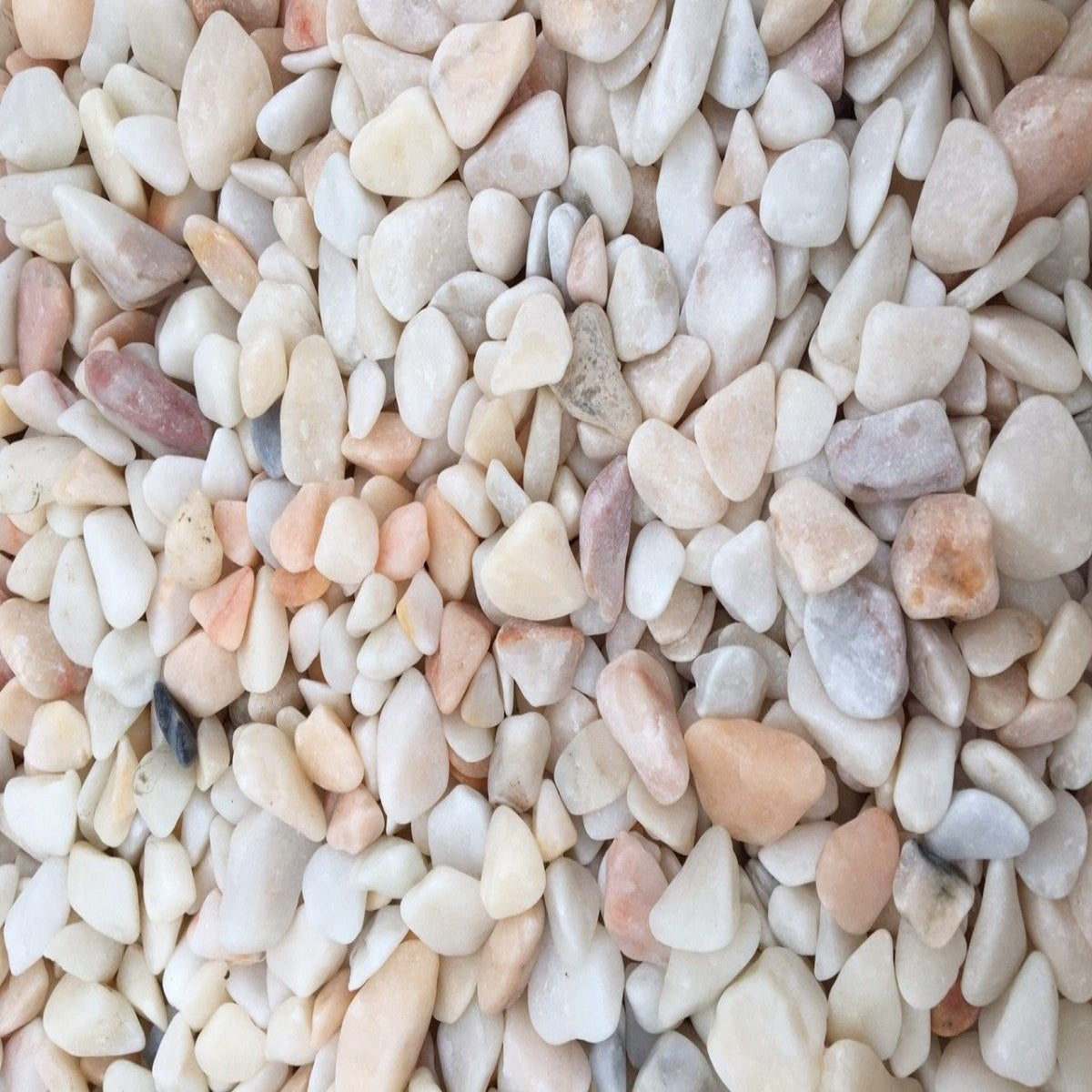 Flamingo Pebbles