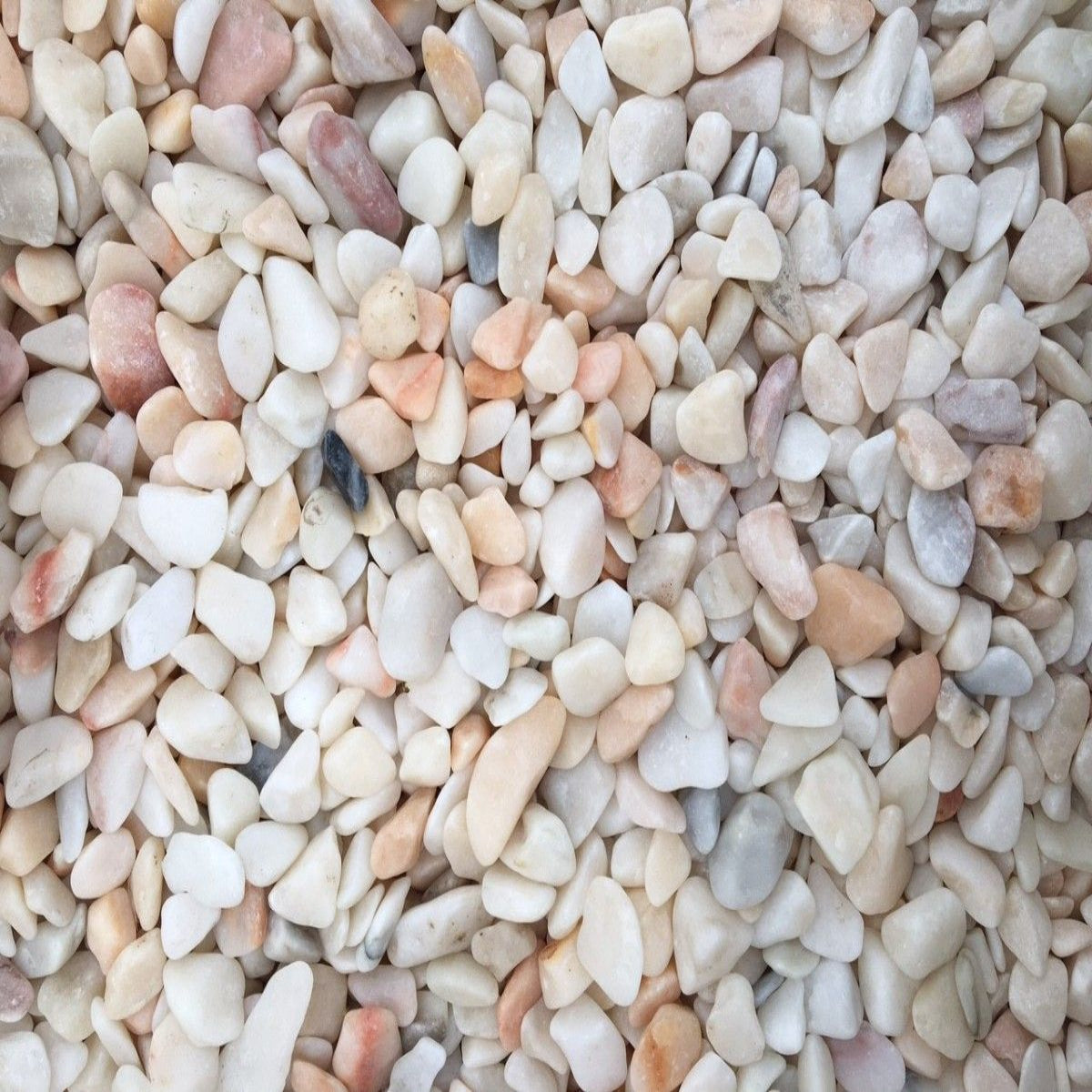 Flamingo Pebbles