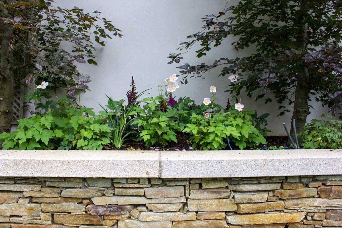 Gold Donegal Quartzite Garden Walling - Random Rubble