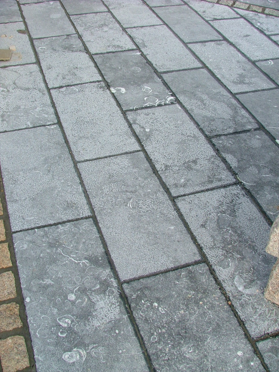 Irish Blue Limestone Paving