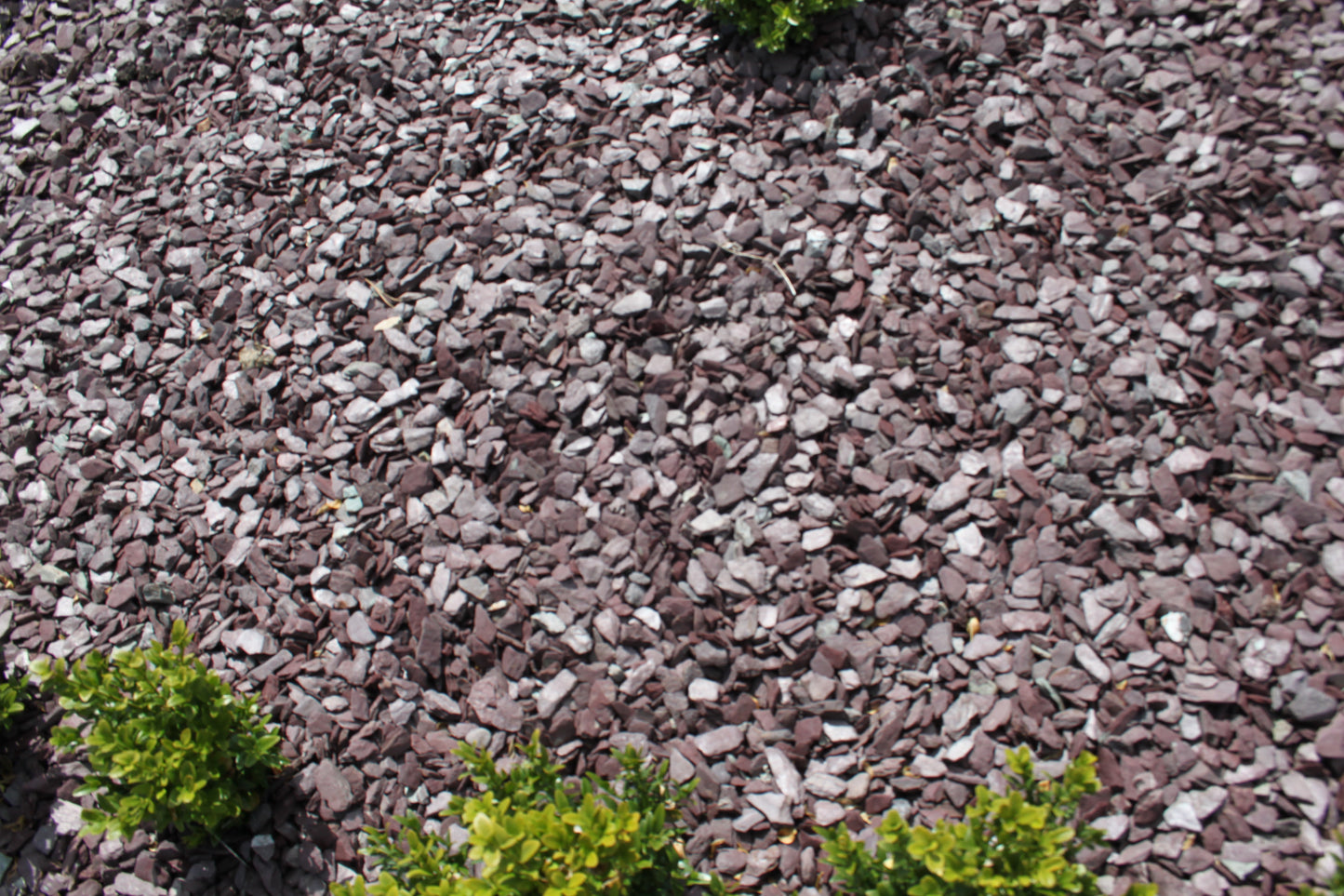 Plum Slate Mulch