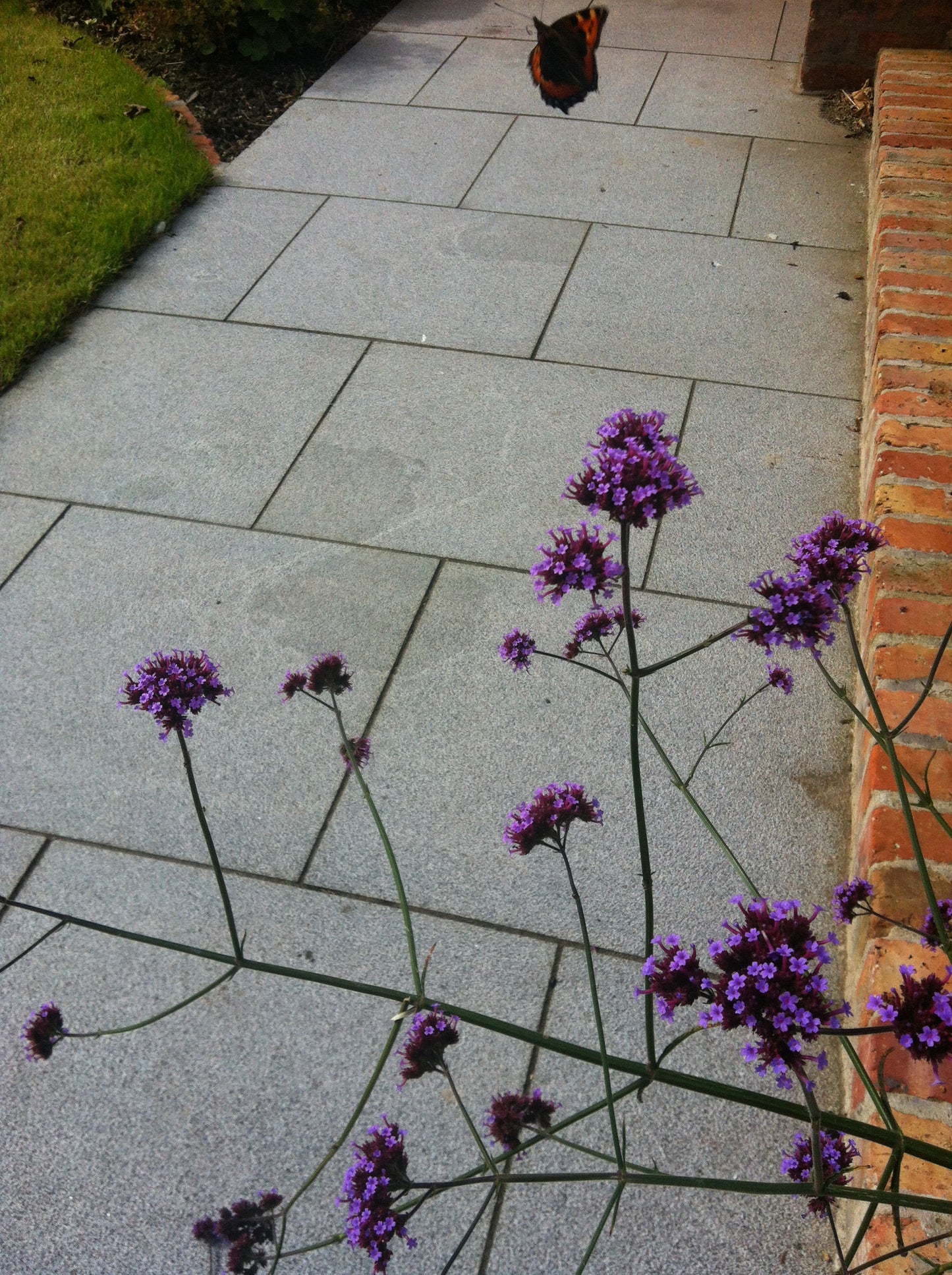 Silver Granite Paving - 600 x 600