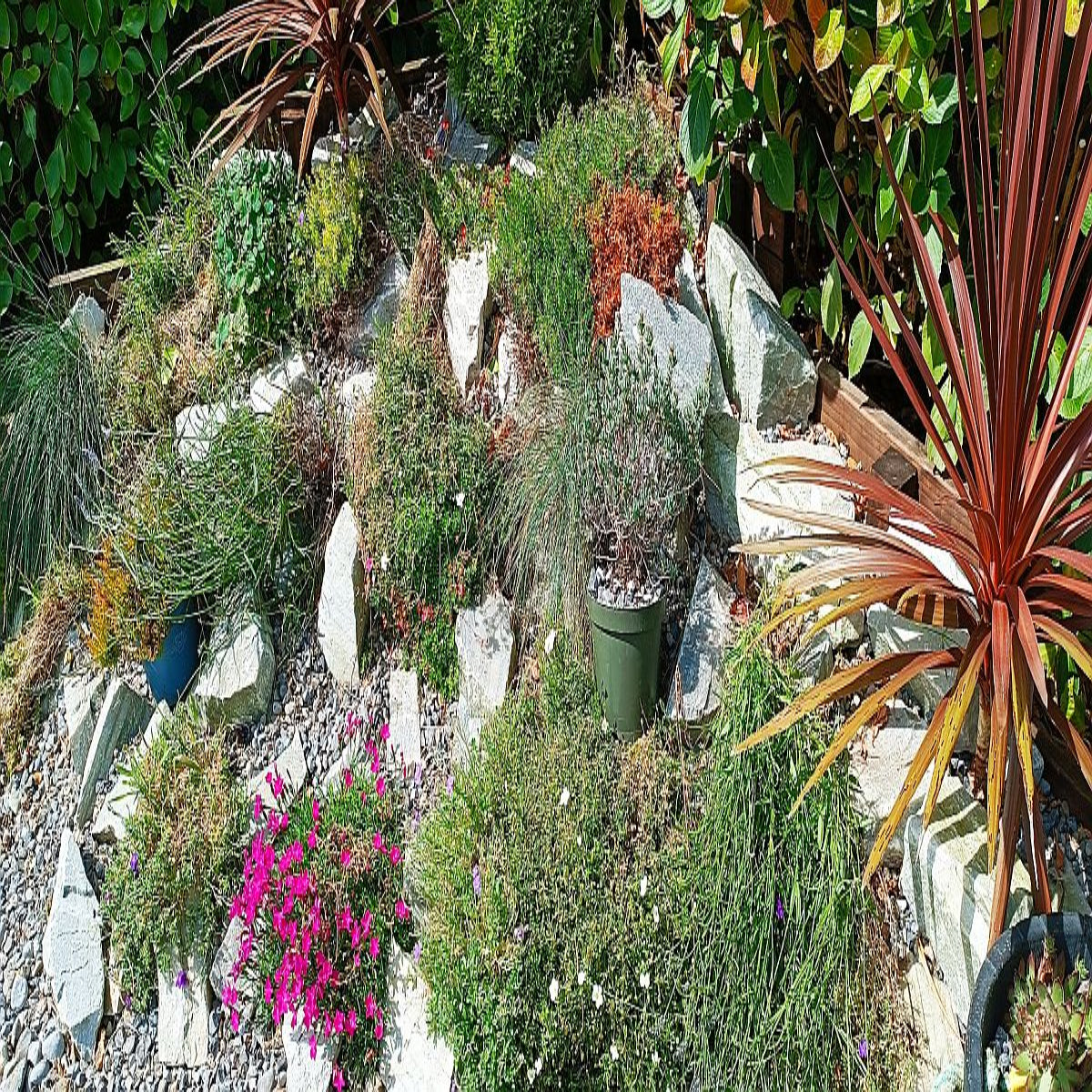 Silver Donegal Quartzite Rockery