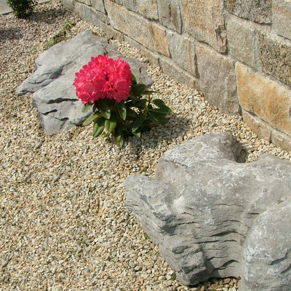 Pink flower in a garden with stone wall and decorative rocks surrounded by 10mm Gold Donegal Quartzite Stone Chipping. 