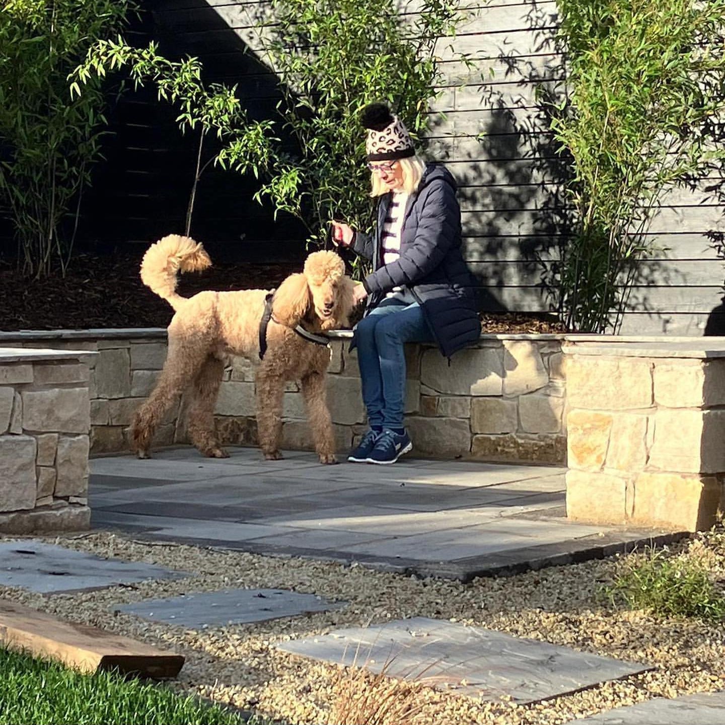 Person sitting on a stone bench with a dog in a garden setting. Pathway created using stepping stones and 10mm Gold Donegal Quartzite Stone Chipping. 