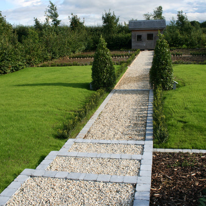 Garden pathway featuring 14mm Gold Donegal Quartzite Stone Chipping leading towards a wooden shed. 