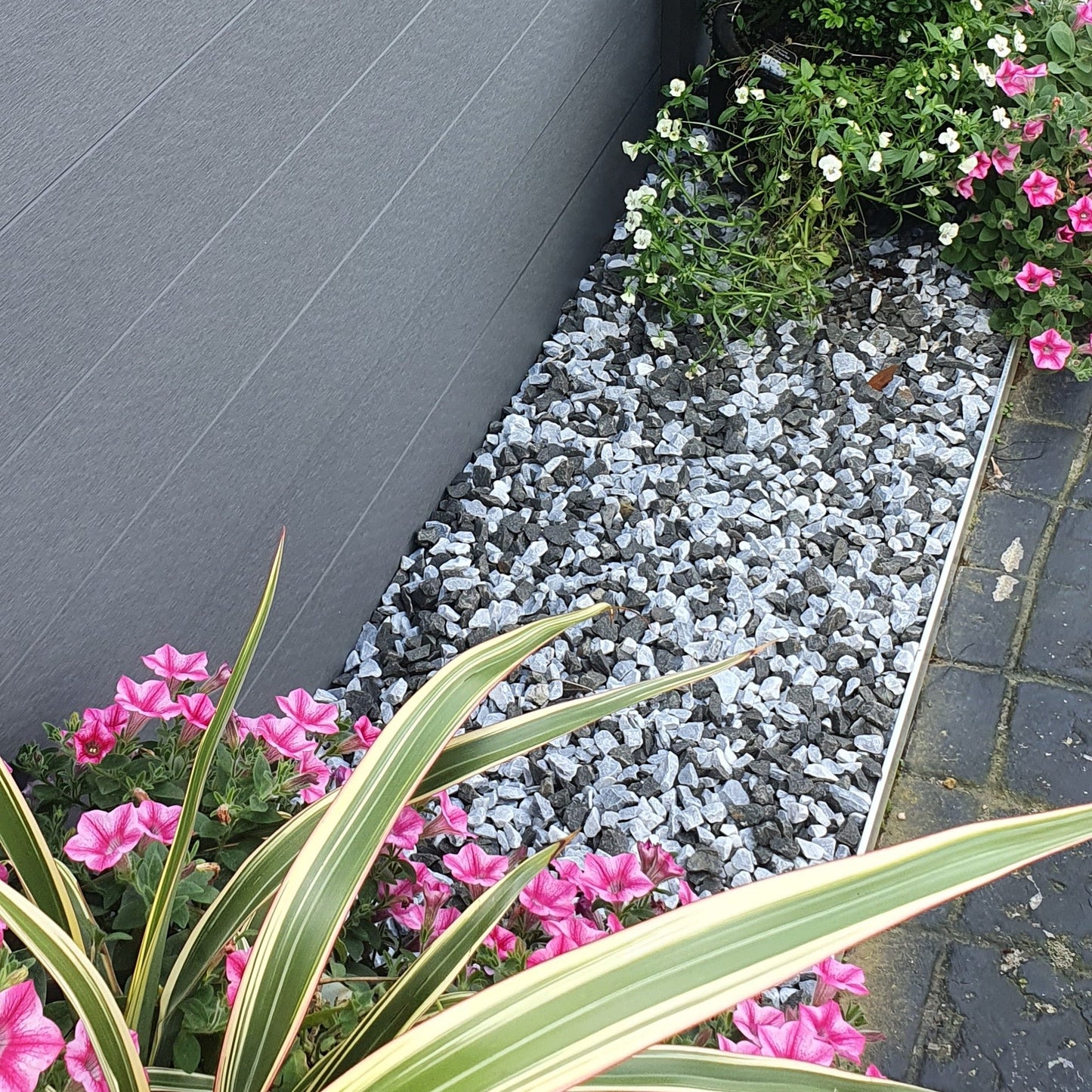 Garden with flowers and plants against a grey fence