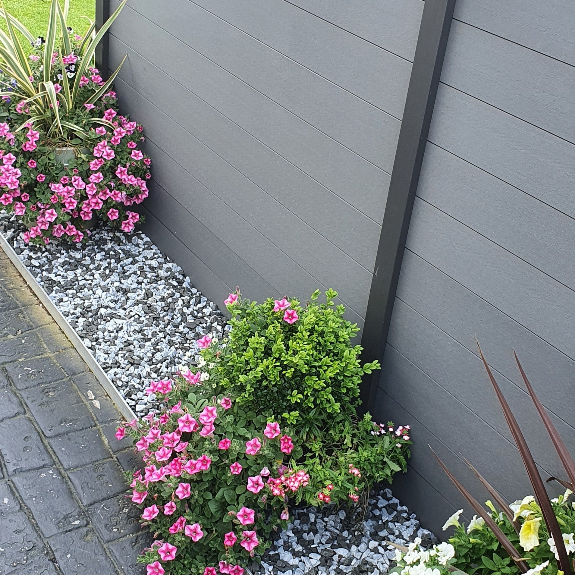 Grey wooden fence with garden plants and flowers in a well-maintained garden. Black Ice Chipping used between plants. 