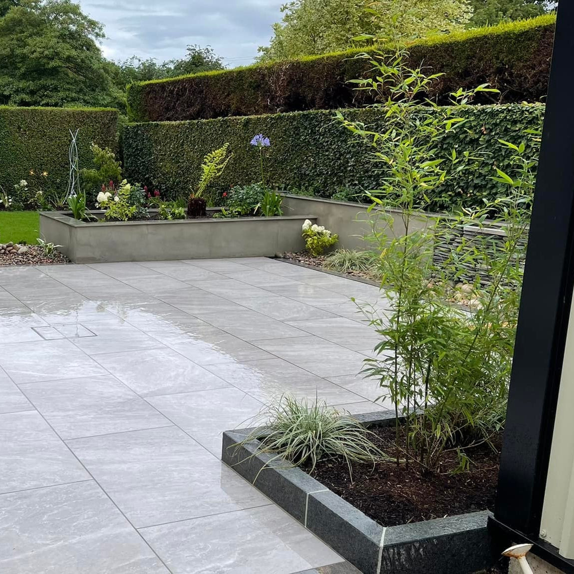 Paved garden area with plants and a large hedge in the background