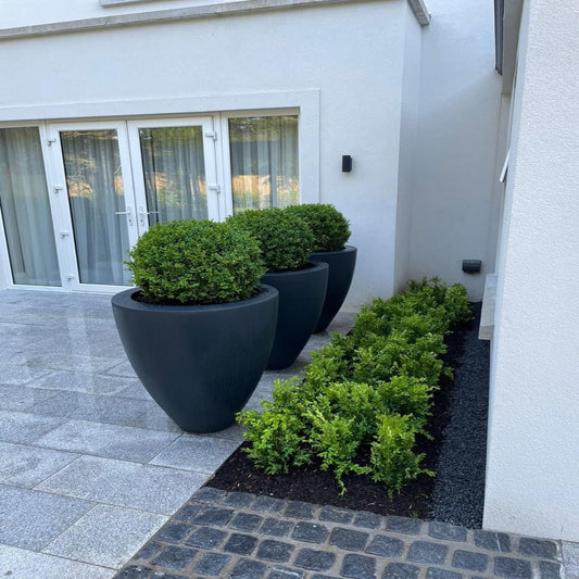 Black Granite Setts 100 x 100 - Bush Hammered & Lightly Tumbled