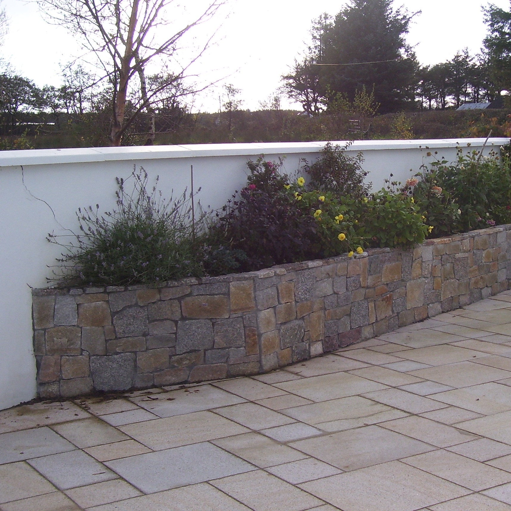 Paved patio area with stone wall and garden bed. Stone is Donegal Granite Machined. 