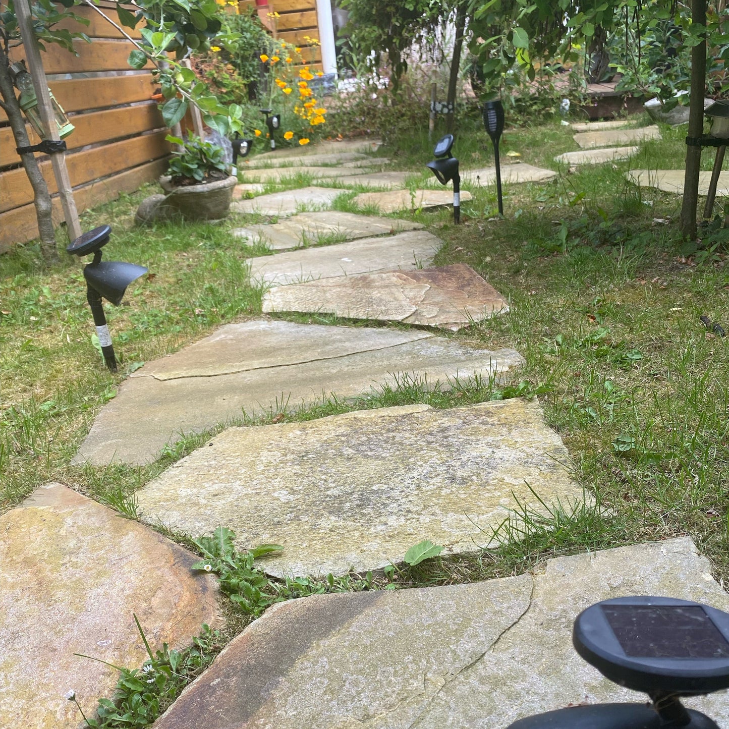 Stepping Stones on a grassy area with plants in the background.