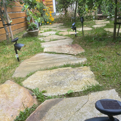 Stepping Stones on a grassy area with plants in the background.
