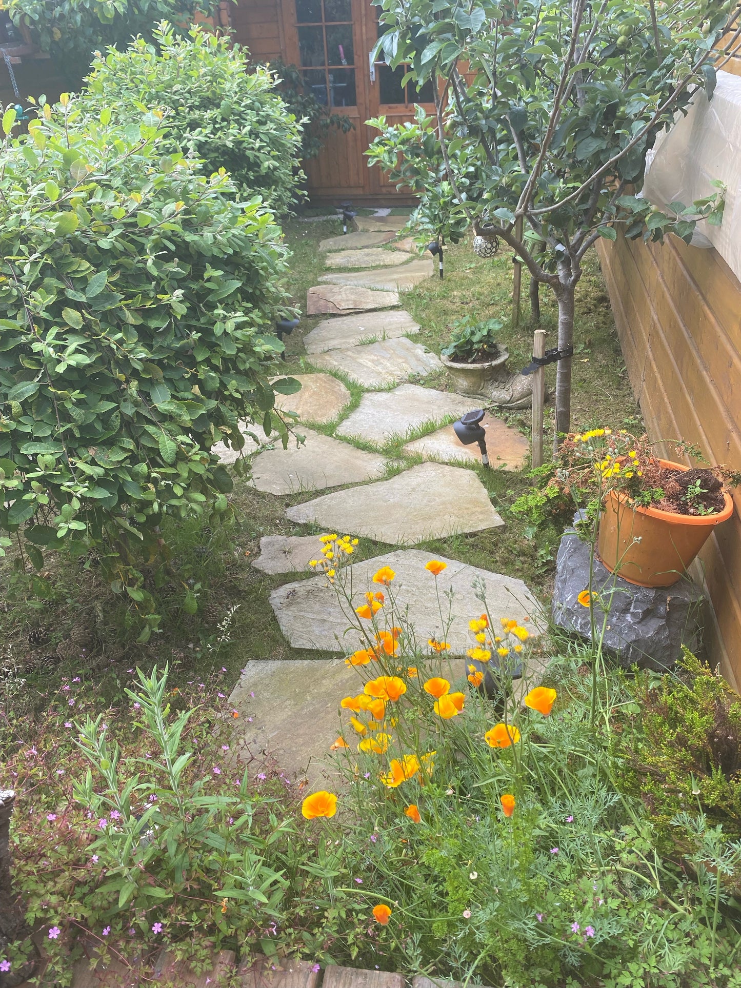 Donegal Quartzite Stepping Stone <600mm Diameter