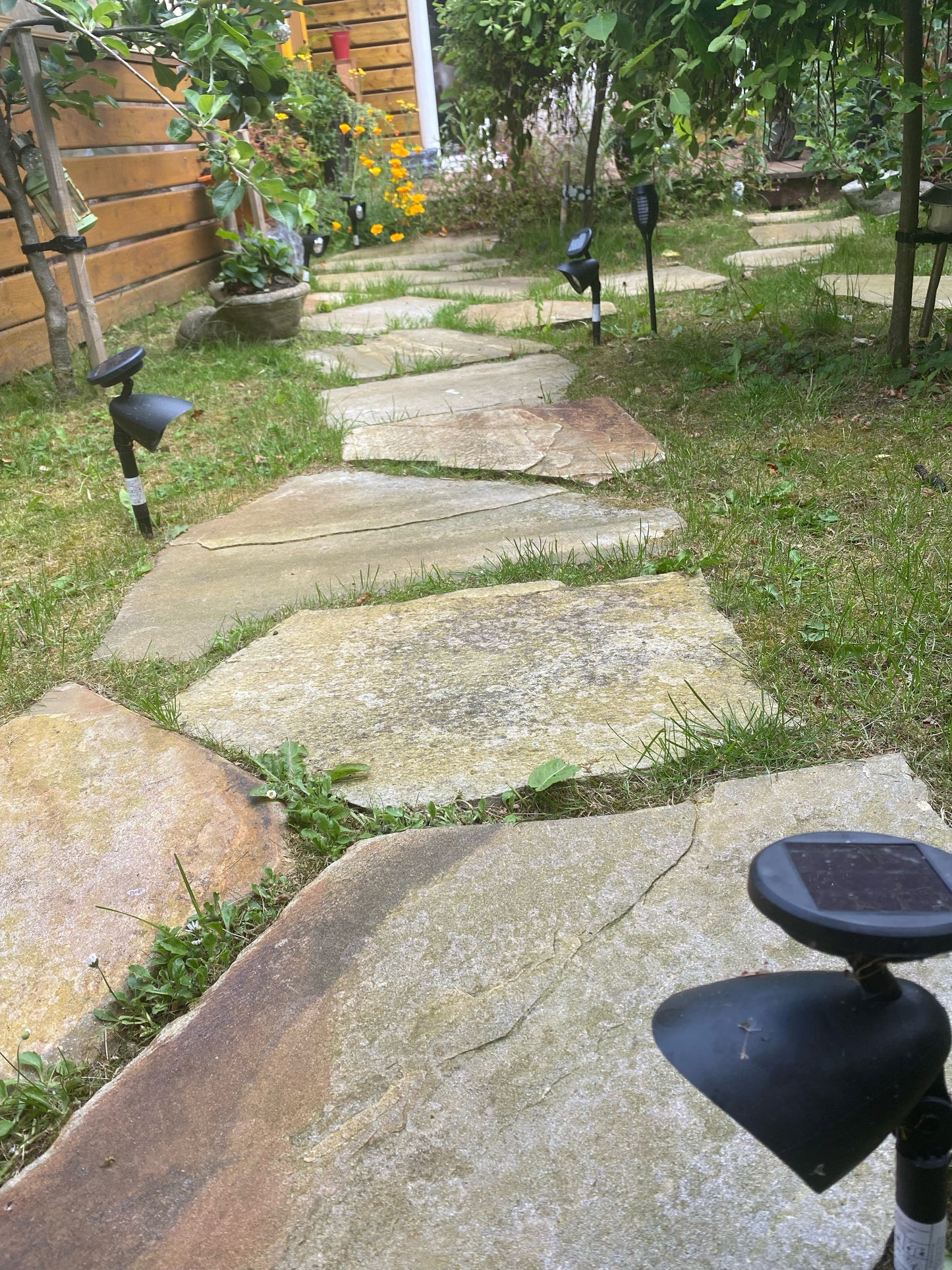 Donegal Quartzite Stepping Stone <600mm Diameter