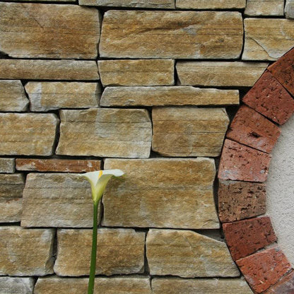 Close up of Gold Donegal Quartzite Stoneer Cladding stonework with a red brick circle and white flower. 