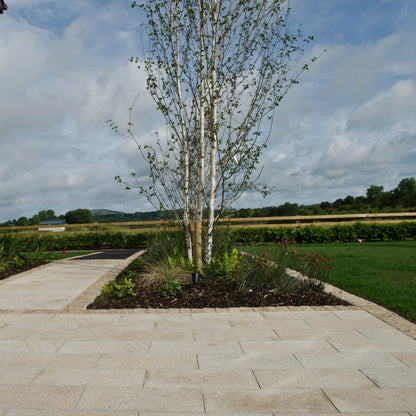 Garden patio and pathway surrounded by planting and trees. Paving is Gold Granite in 600 x 300mm size. 