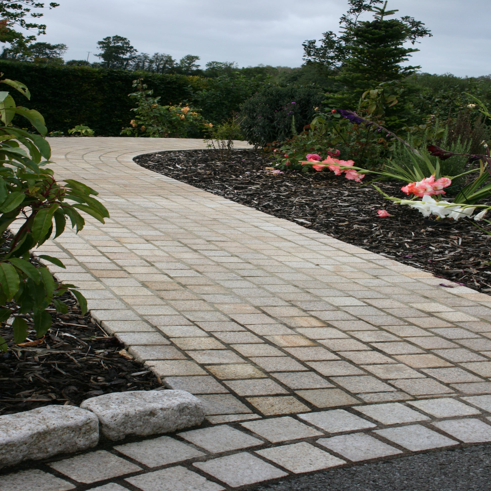 Pathway with Gold Granite Paving Cobbles in 100 x 100mm size. 