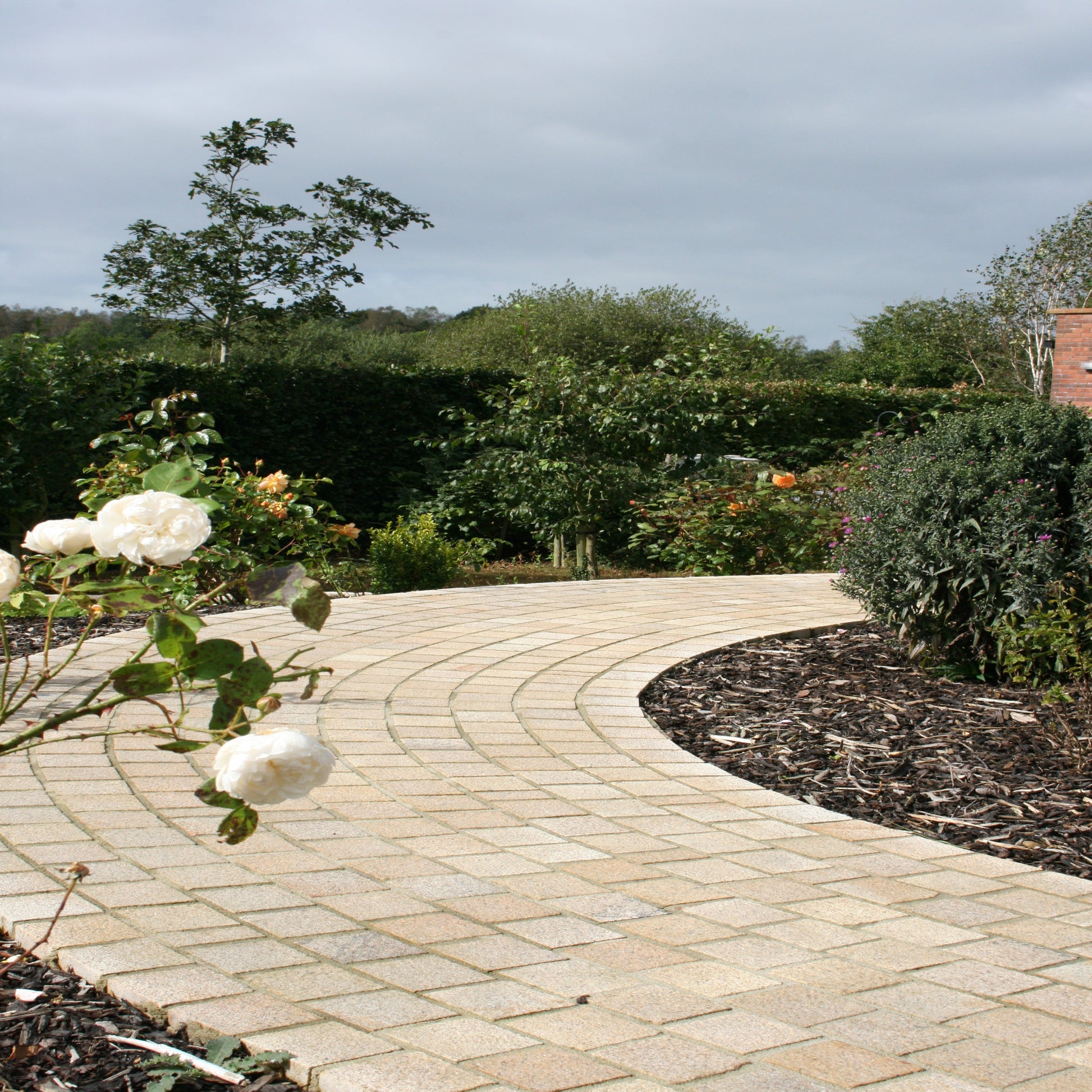 A curved pathway laid with sawn gold granite paving cobbles surrounded by greenery and a flower bush in the foreground.
