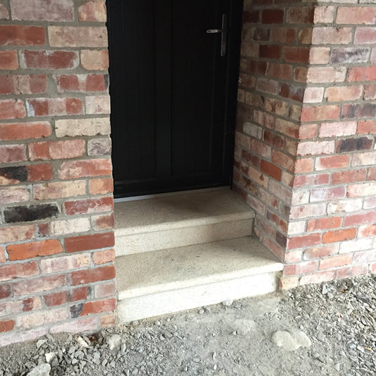 Brick wall with a black door and concrete step