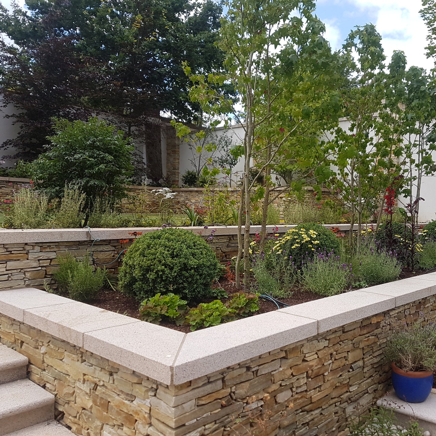 Garden with trees, plants and  stone walls completed with Gold Granite Wall Capping. 