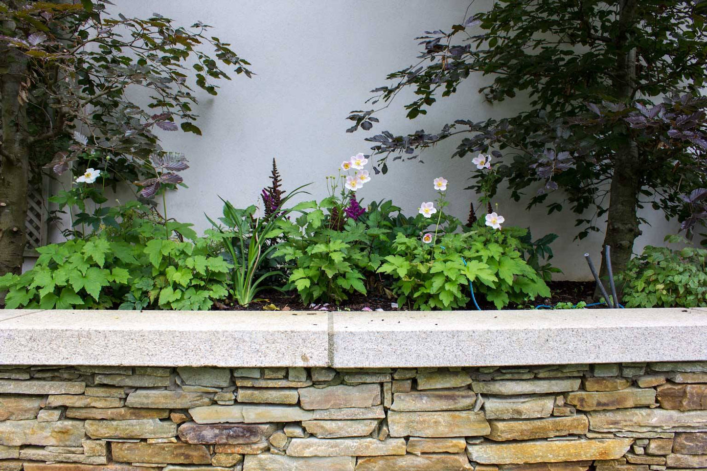 Wall Capping