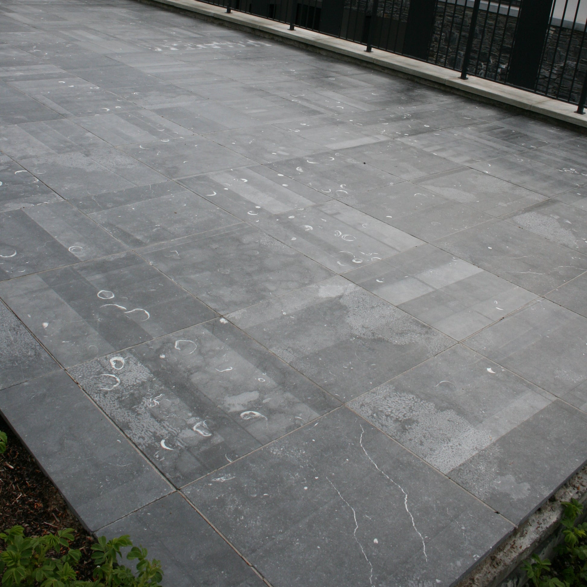 Patio area finished in Irish Blue Limestone Paving