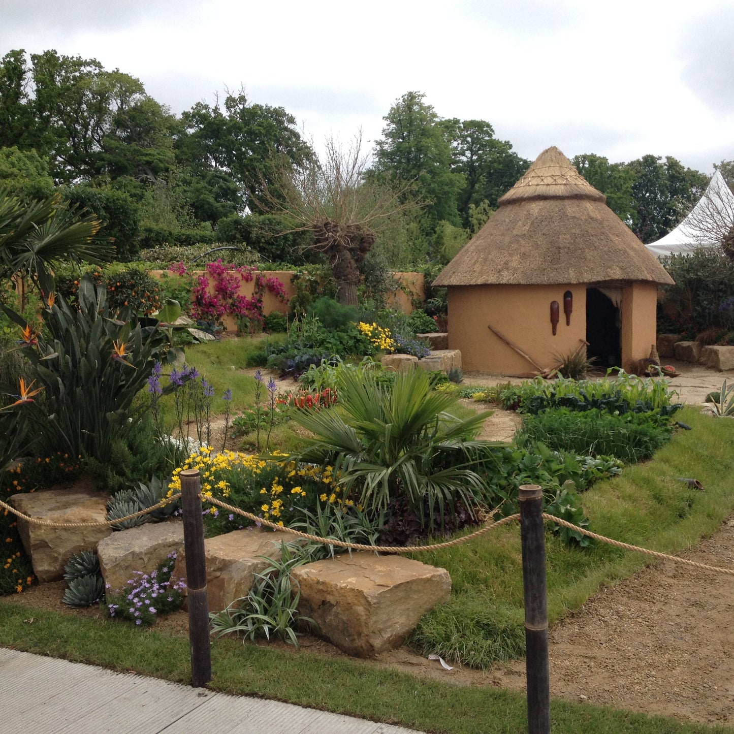 Show Garden scene with a thatched-roof structure and various plants and Mountcharles Sandstone Rockery in the foreground. 