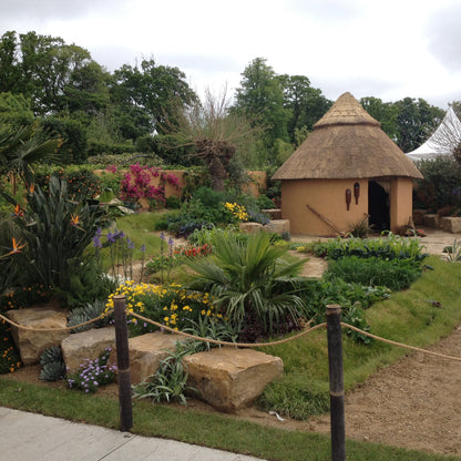Show Garden scene with a thatched-roof structure and various plants and Mountcharles Sandstone Rockery in the foreground. 