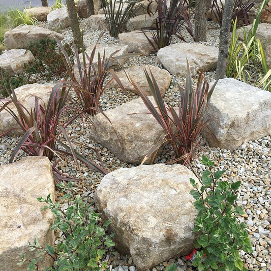 Rockery area with trees, plants and Mountcharles Sandstone Rockery stones. 