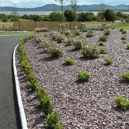 landscaped garden with decorative gravel called Plum Slate Mulch and small plants by a road with a scenic background