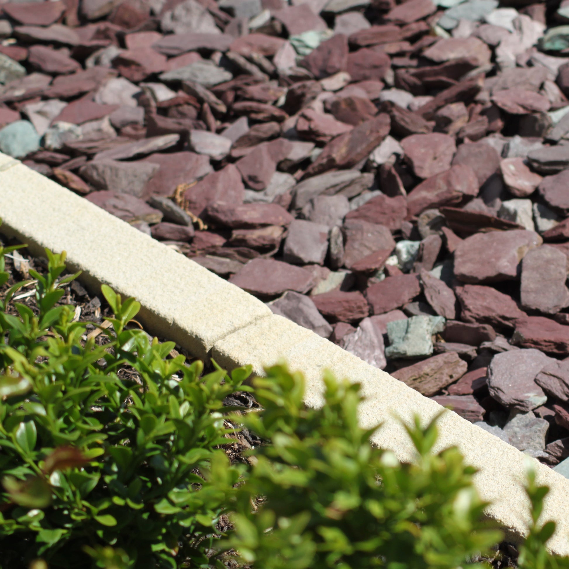 Close-up of multi-coloured pebbles with a kerb edge and green plants.