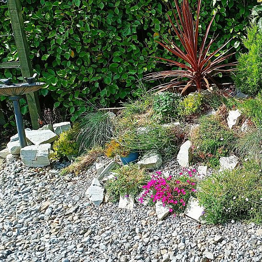 Planted rockery area featuring Silver Donegal Quartzite Rockery Stones. 