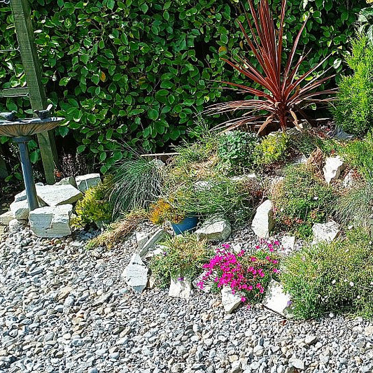 Planted rockery area featuring Silver Donegal Quartzite Rockery Stones. 