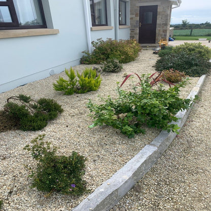 Rockery area with planting and chipping bordered by Silver Granite Kerbs with pineapple finish. 