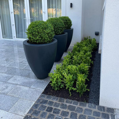 Close up of patio paving. Customer chose Silver Granite Paving in 600 x 300mm size and Black Granite Cobbles in 100 x 100mm size. Nicely decorated with shrubs. 