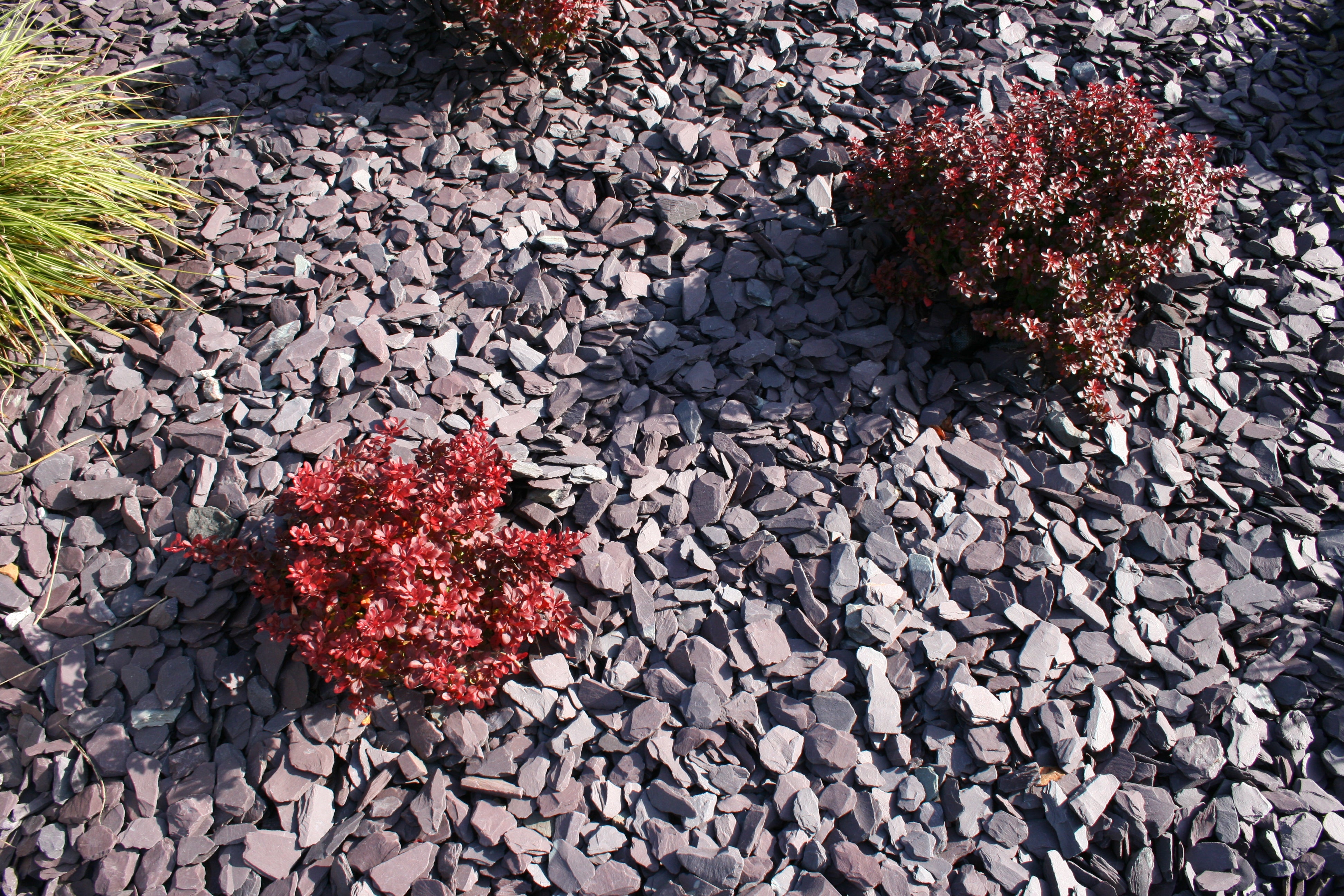 McMonagle Stone