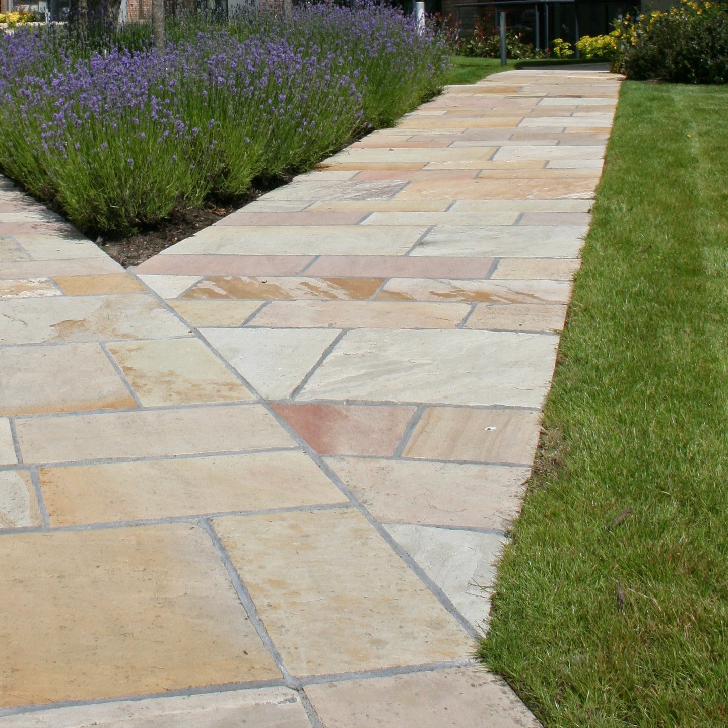 Paved garden path in Tinted Mint Sandstone with lavender and grass on either side