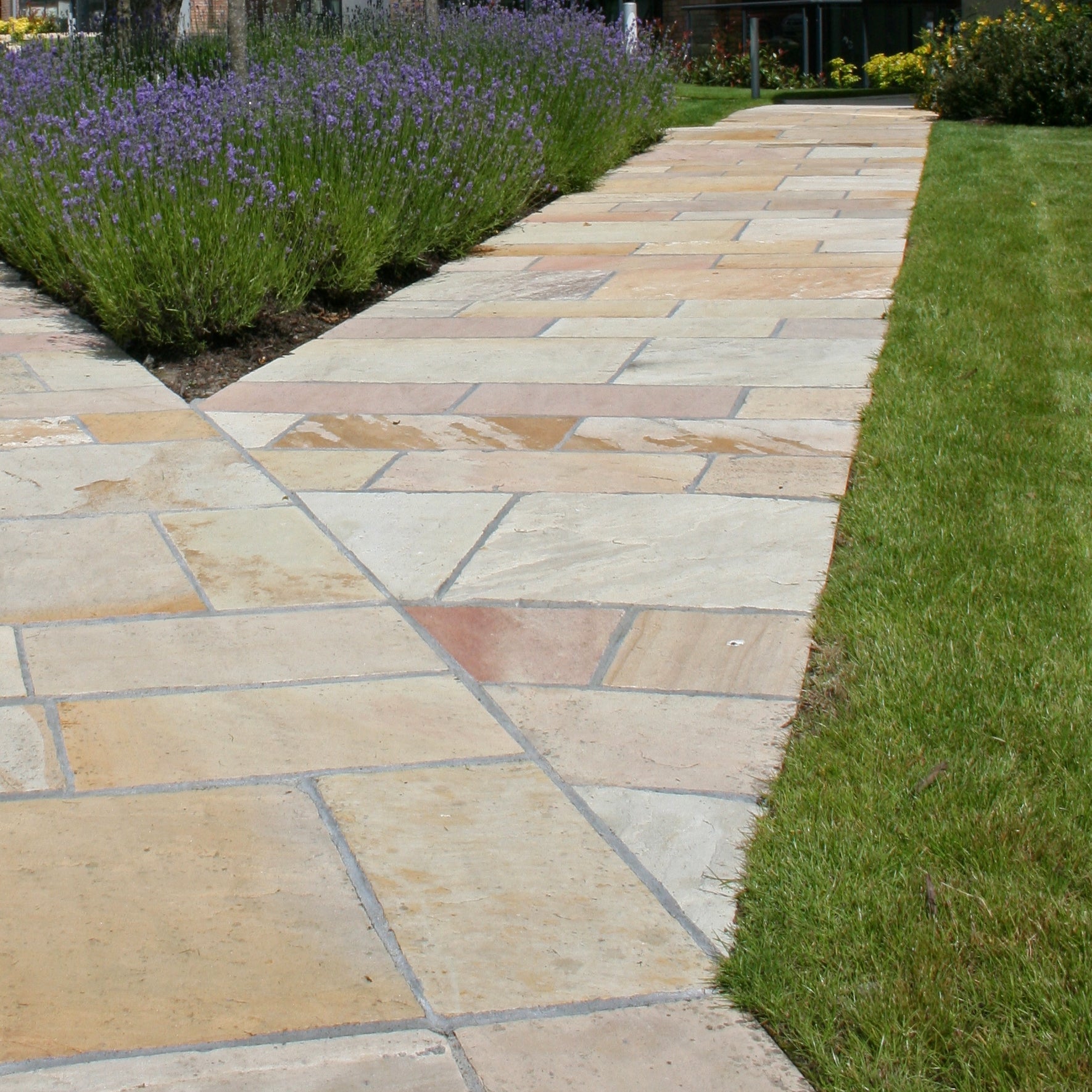 Paved garden path in Tinted Mint Sandstone with lavender and grass on either side