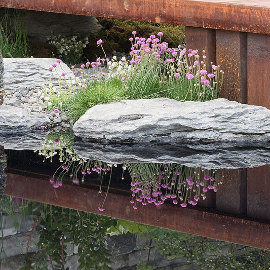 Pond featuring waterworn limestone karst stones and flowers. 