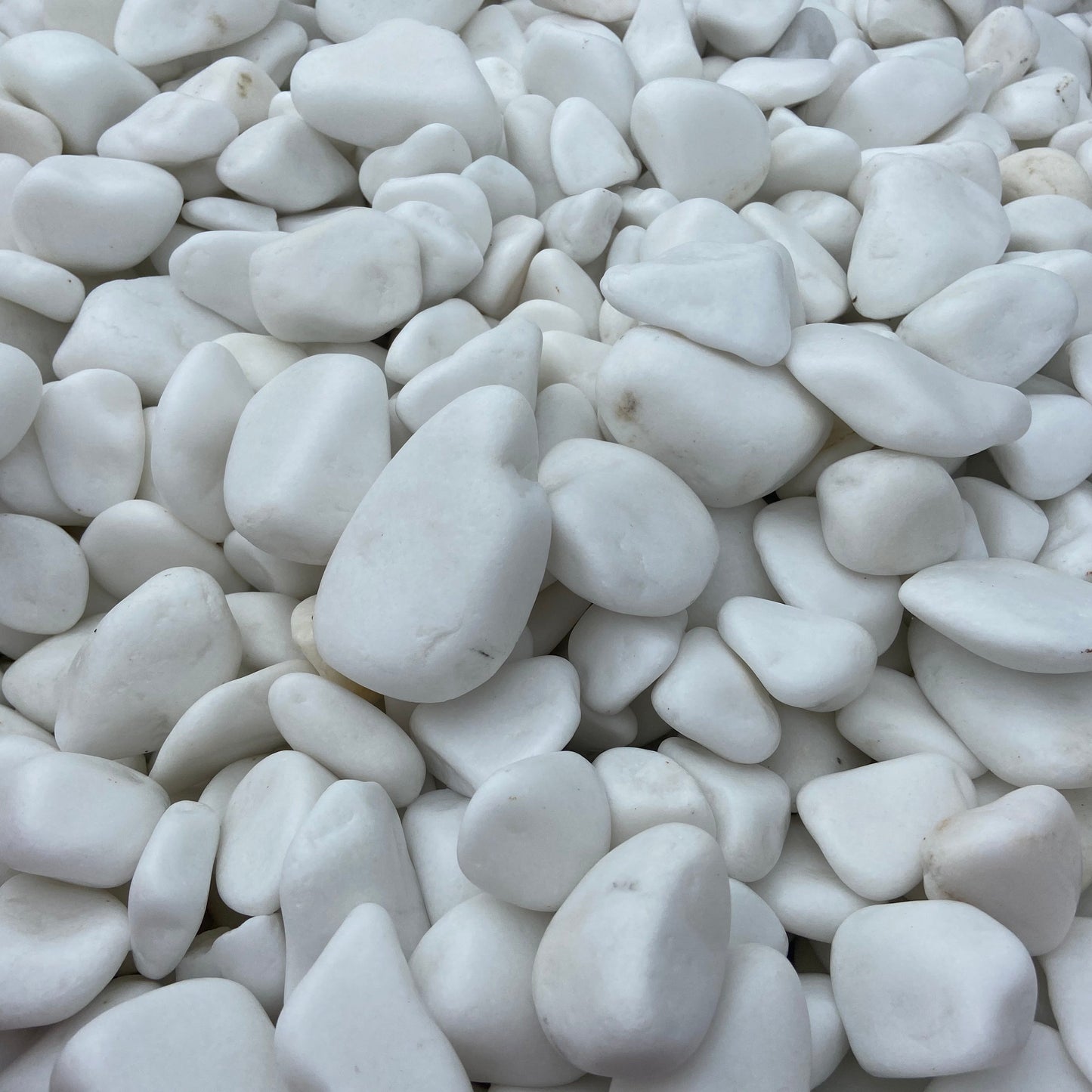 Close-up of white pebbles